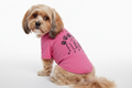 Paws have no flaws - black on pink T-shirt