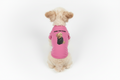 Pink dog shirt with a dog wearing a leather jacket graphic and 'HOWL YOU DOIN?' text on a white background.